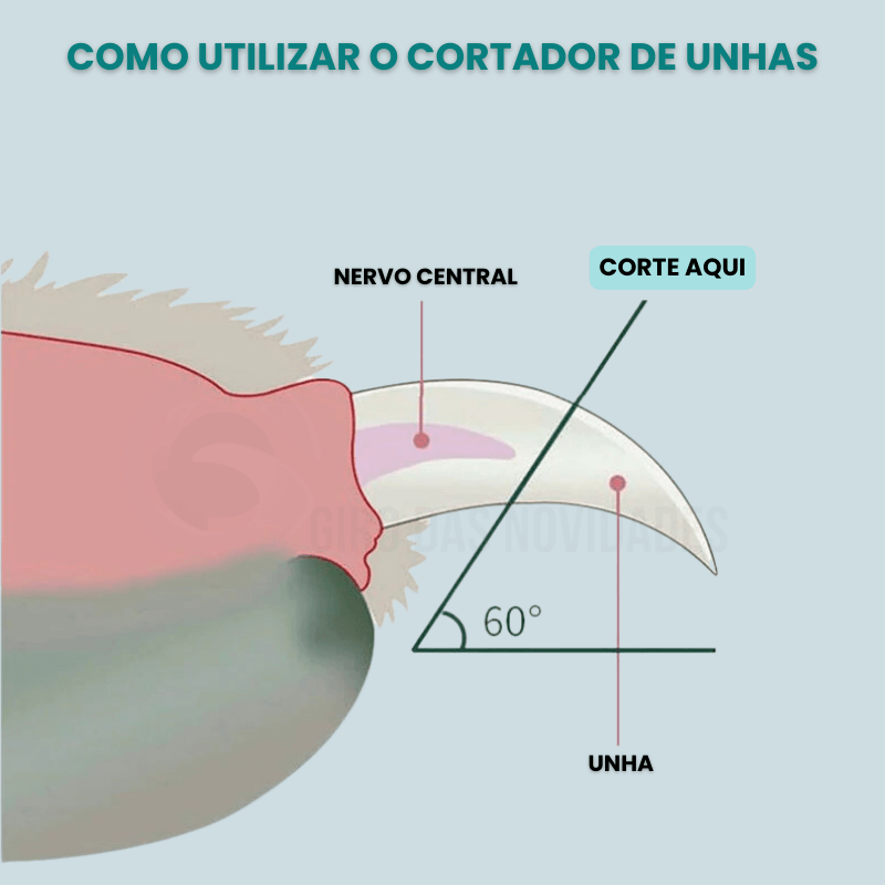 PetsNail - Cortador de Unhas com Led de Segurança para Pets